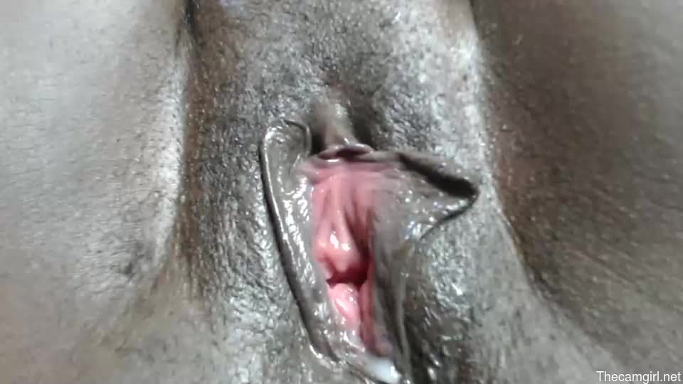 Jazil2