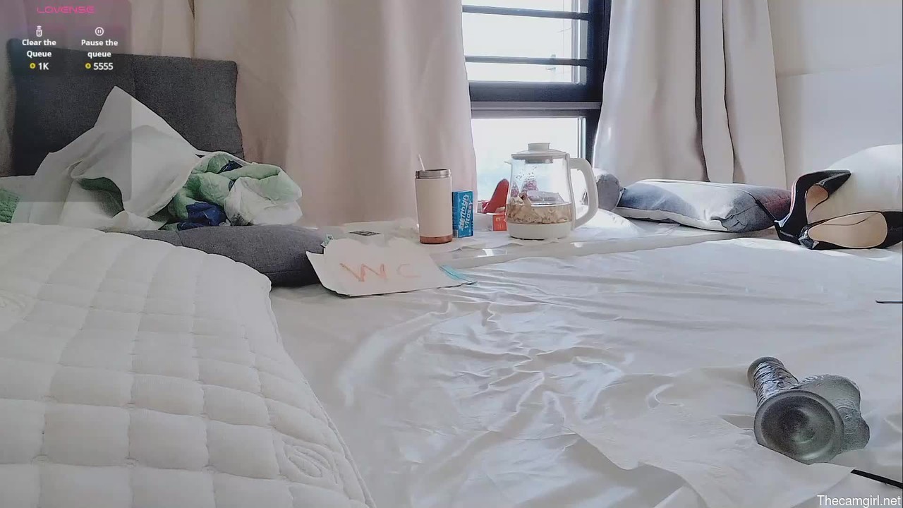 T_taotao