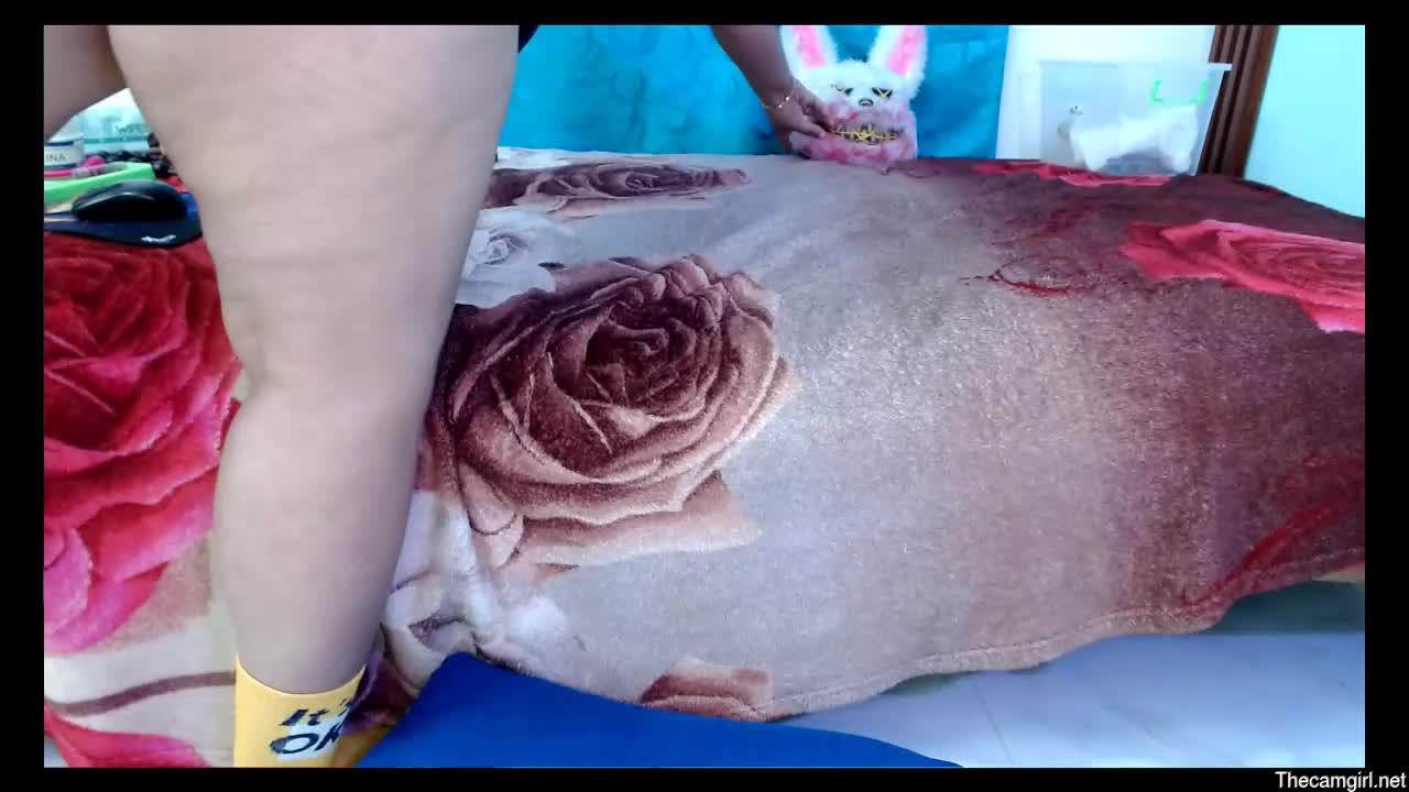 Bellotabigtits18