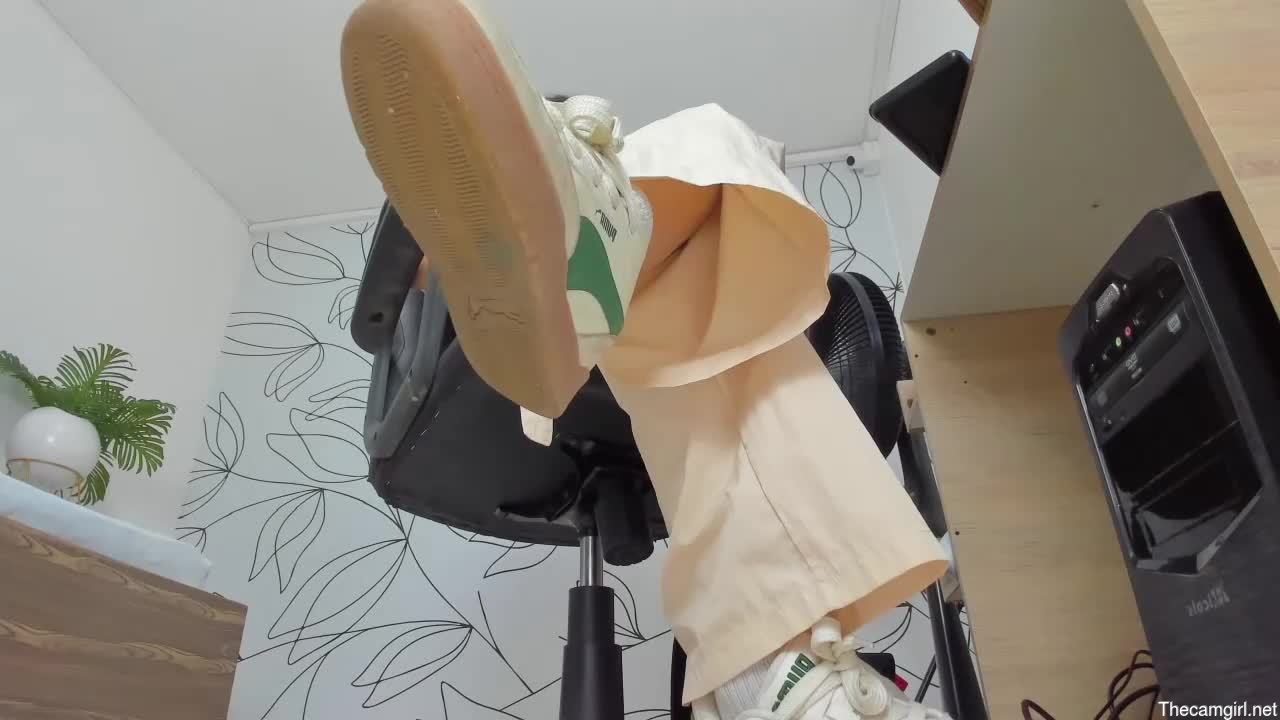 Alma_fenix
