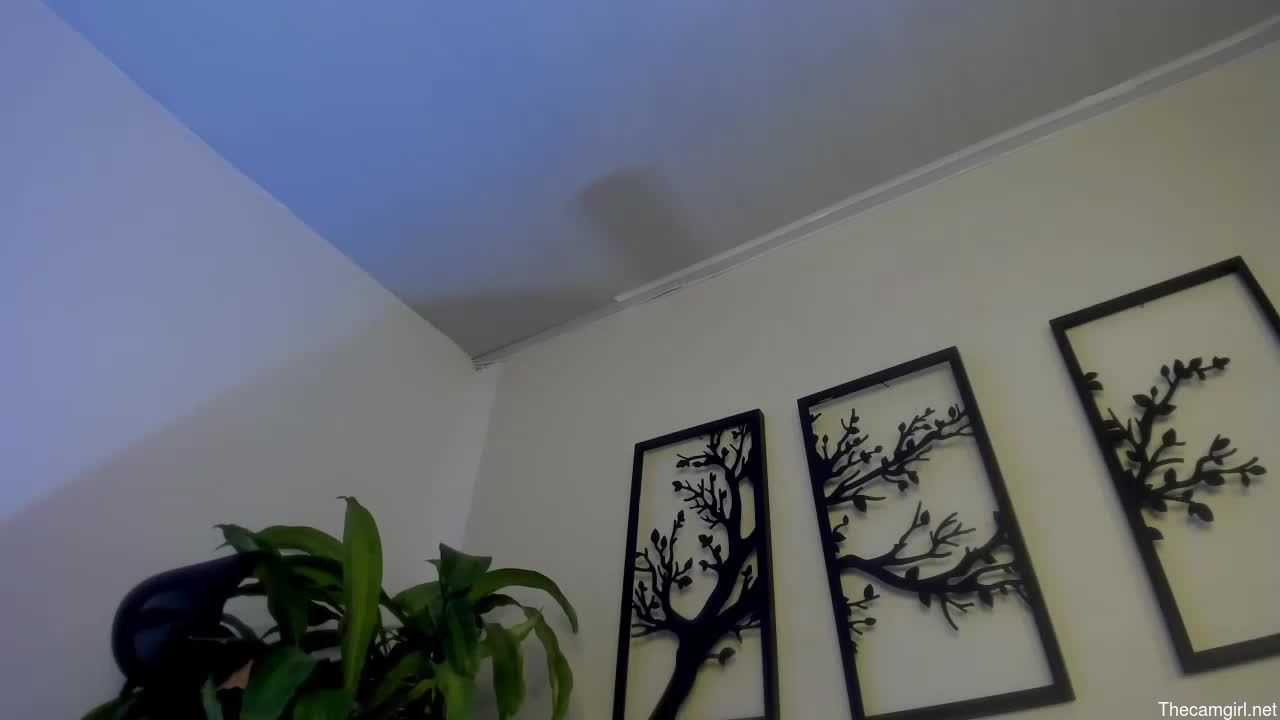 Alana_collinss
