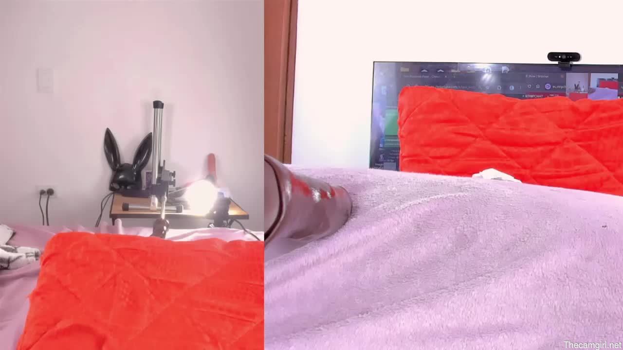 Lacii_lost