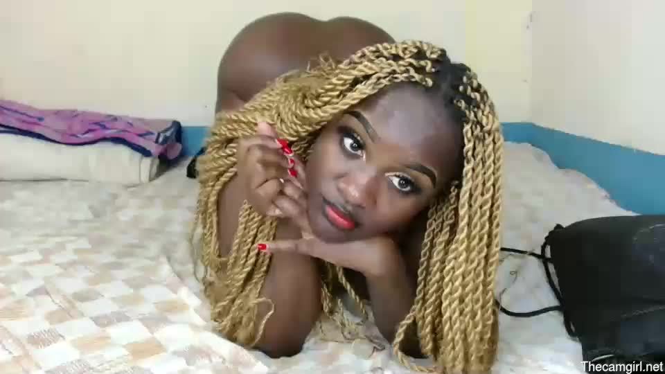 Horny_barilla