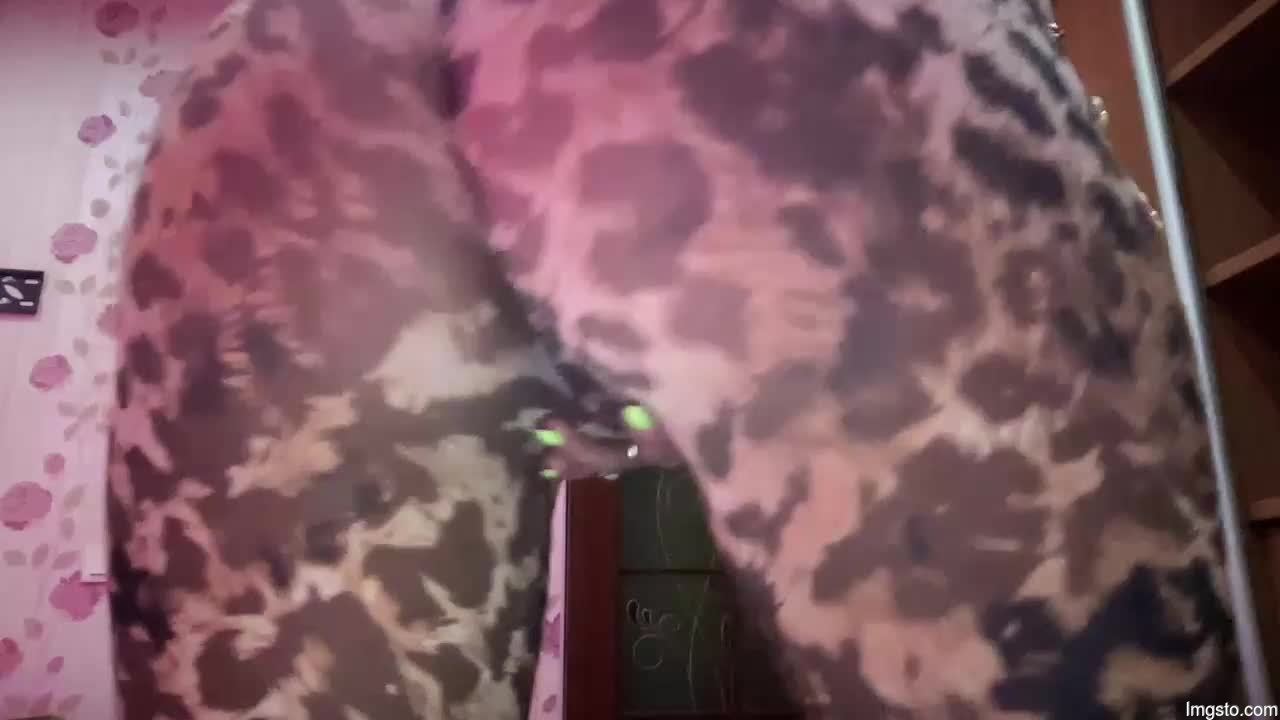Viola_1