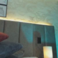 Scarlett_vegga