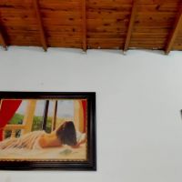 Miss_carlota1