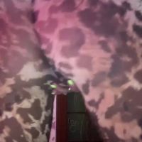 Viola_1