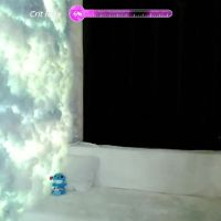 Mary_lunar