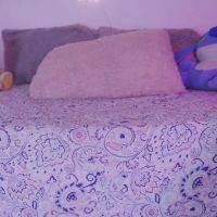 Fox_samantha_