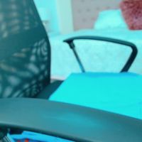 Littlemolly_pregnant