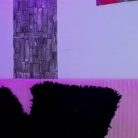 Allison_sc