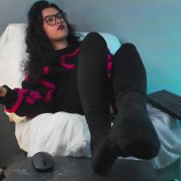 Veronicafalcon