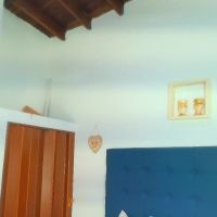 Vahiolet_fuentes