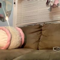 Kittygoddess420