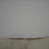 Sweetpussyhot_