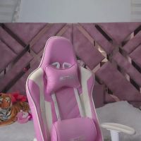 Tigerbaby_