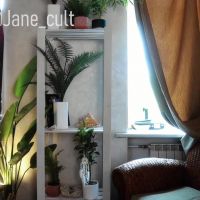 Janecore