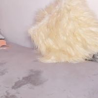 Arianapoarch1