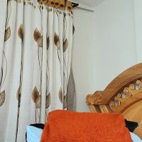 Iris_mandarine