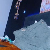 Damian_n_lissa