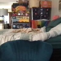 Bigtittygothwhore