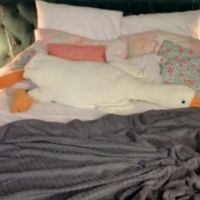 Angel_lilia