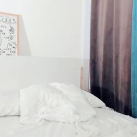 Polly_dollie_