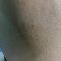 Alidaalida2
