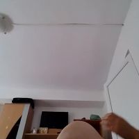 Vera_elle