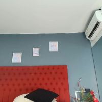 Jocelyn_santana