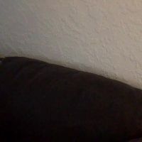 Milfsfreaky69