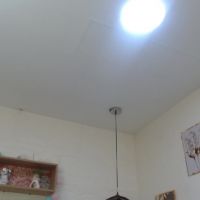 Tulunaroja