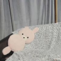 Shydreamss