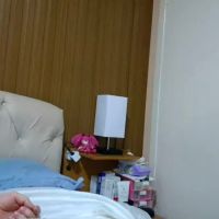 Laylabrasil