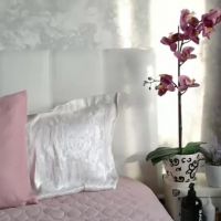 Pamella_007