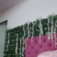 Vanessa_lovea