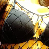 Mielsquirt