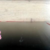 Flooora_0