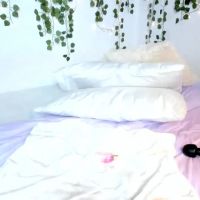 Violeta_milleer