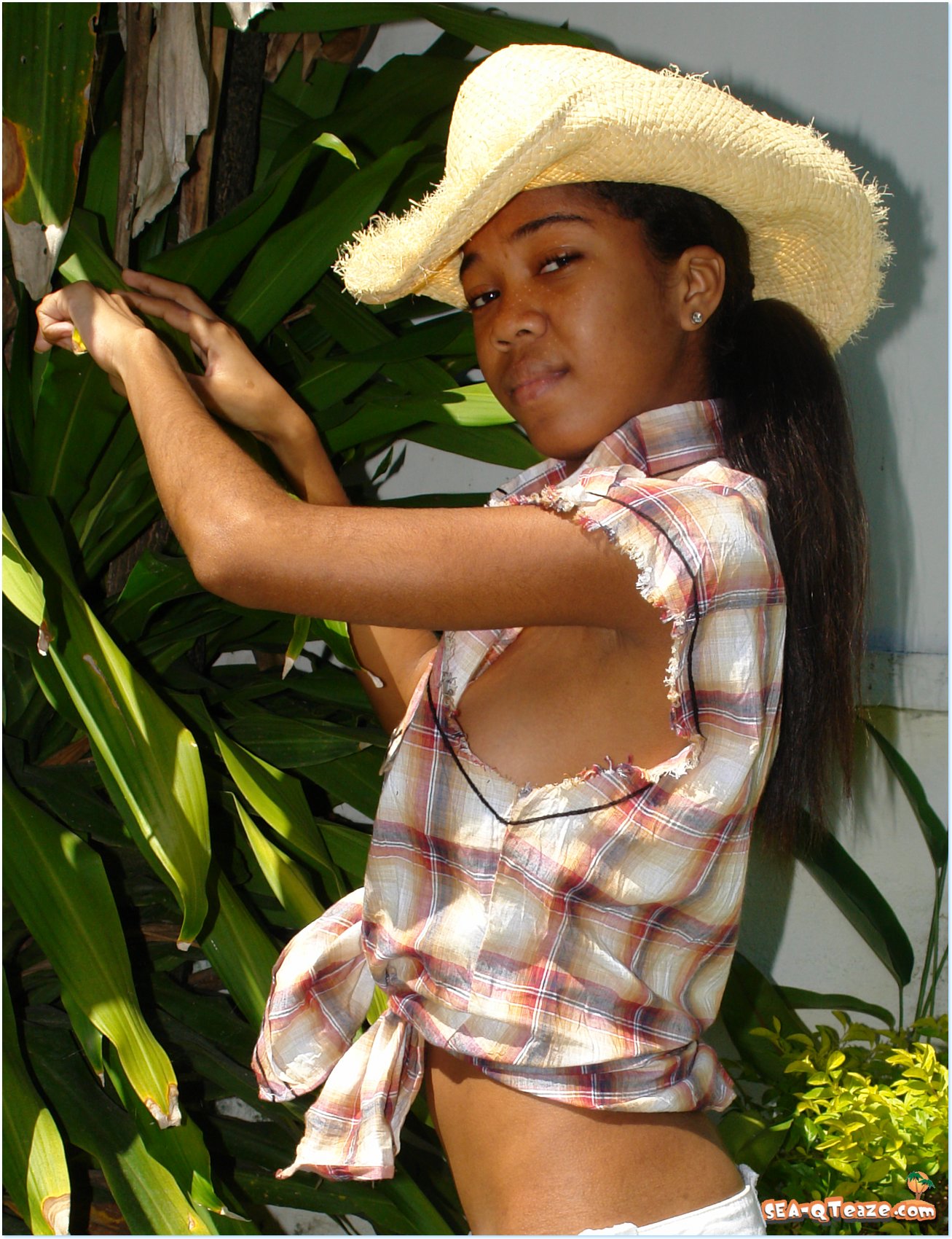 bri002-020.jpg