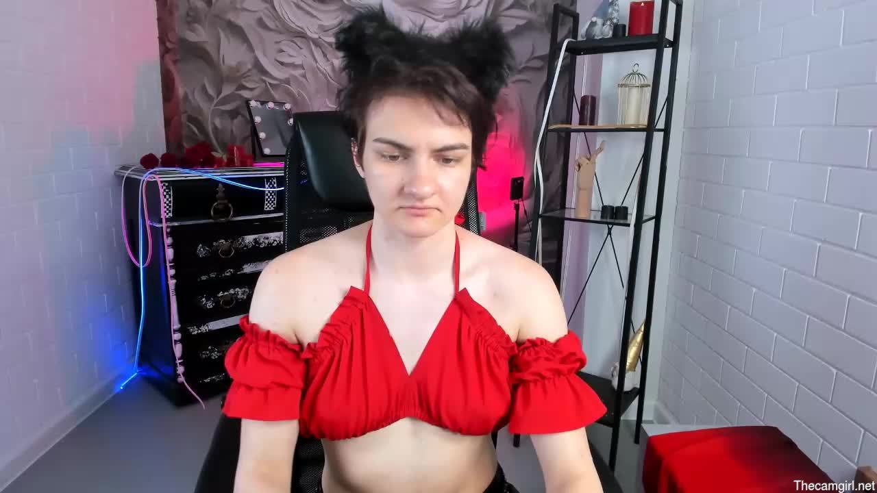 Dashflov