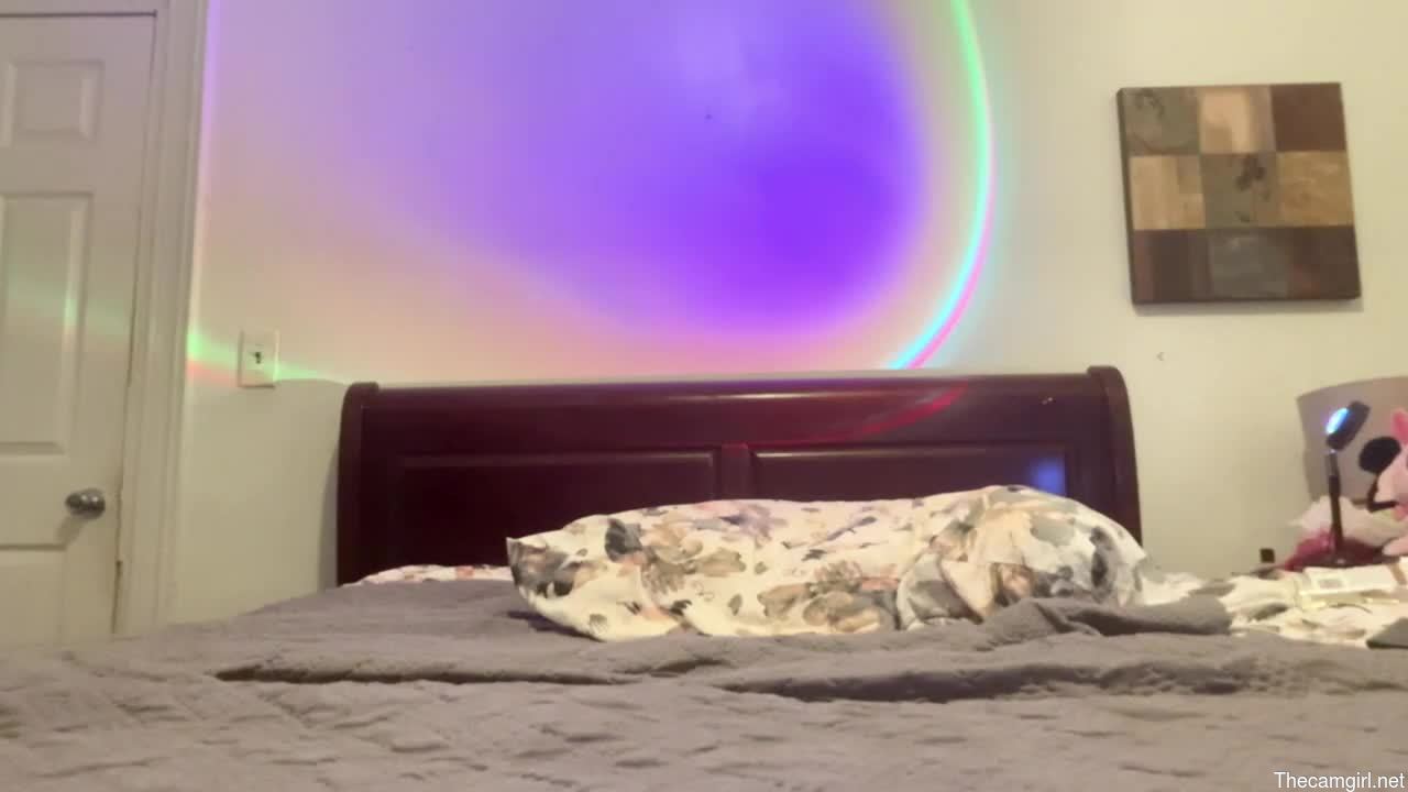 Anne_lynn
