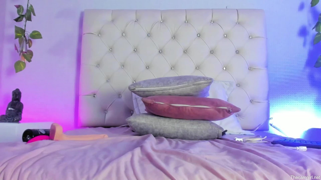 Ariiadna_fox